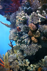 Similar image 1602431