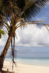 Similar image 1602433