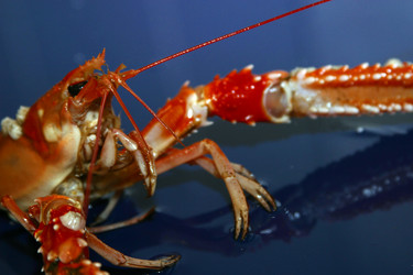 Similar image 1602437