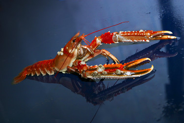 Similar image 1602438