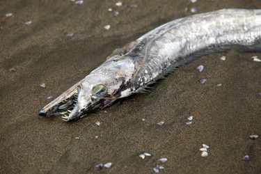 Similar image 1602442