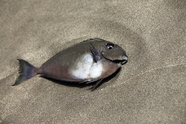 Similar image 1602443