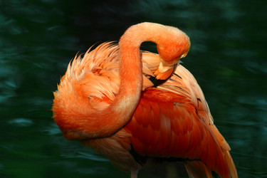 Similar image 1602465