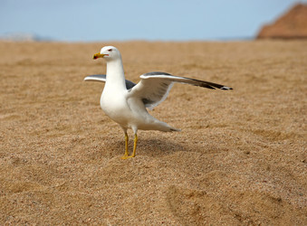 Similar image 1602473