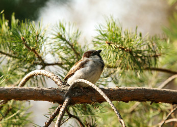 Similar image 1602474