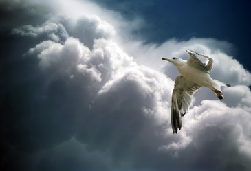 Similar image 1602476