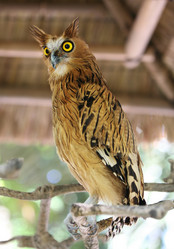 Similar image 1602481