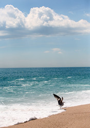 Similar image 1602483