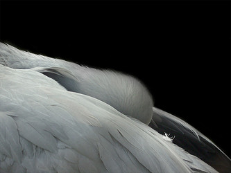 Similar image 1602485