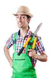 Similar image 1602813