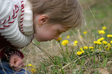 Similar image 1602834