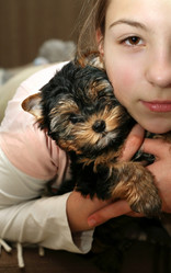 Similar image 1602865