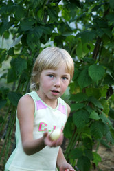 Similar image 1602876