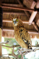 Similar image 1603111