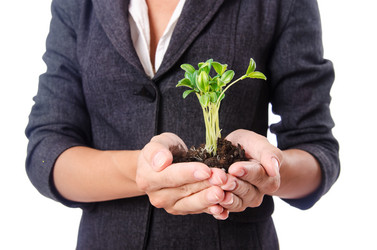 Similar image 1603129