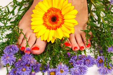 Similar image 1603217