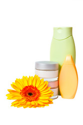 Similar image 1603223