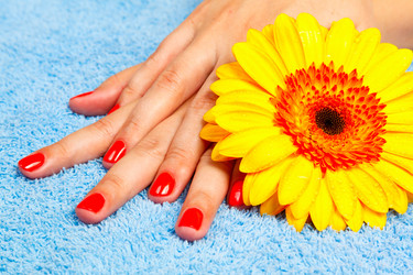 Similar image 1603224