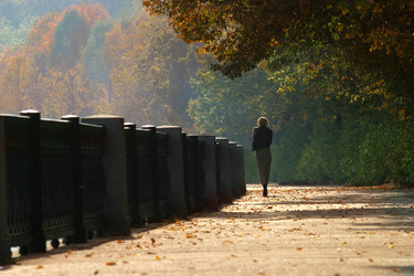 Similar image 1603548