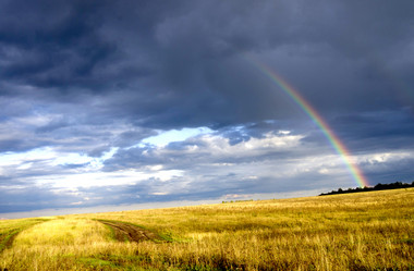 Similar image 1603660