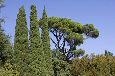 Similar image 1603661