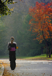 Similar image 1603730