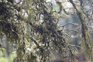 Similar image 1603800