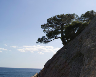 Similar image 1603878