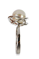 Similar image 1604043