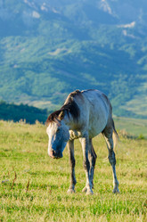 Similar image 1604275