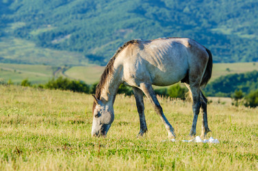 Similar image 1604277