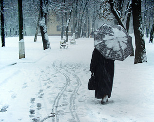 Similar image 1605542