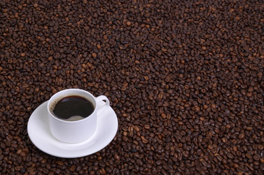 Similar image 1605640