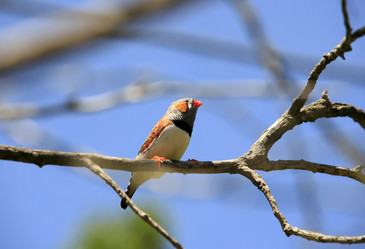 Similar image 1605801