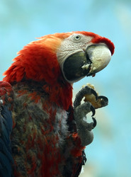 Similar image 1606018