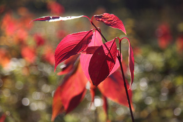 Similar image 1606021