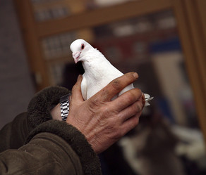 Similar image 1606060