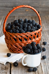 Similar image 1606396