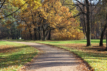 Similar image 1606437