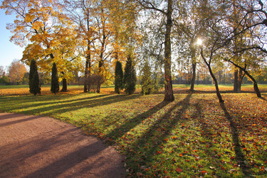 Similar image 1606438