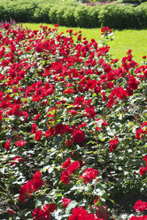 Similar image 1606552