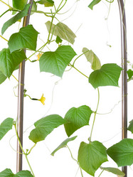 Similar image 1606558