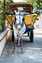 Similar image 1607077