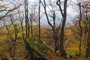 Similar image 1607116