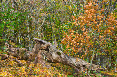 Similar image 1607123