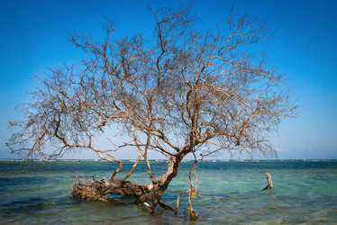 Similar image 1607135