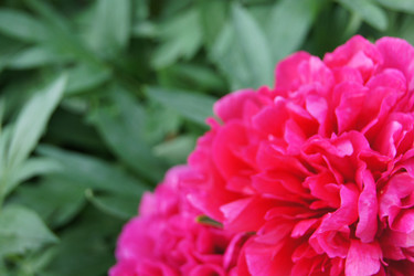 Similar image 1607147