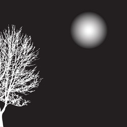 Similar image 1607179