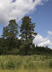 Similar image 1607189