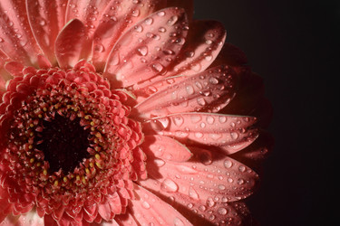 Similar image 1607194